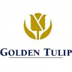 Golden-Tulip
