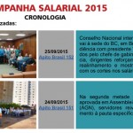 Macro – destaque2
