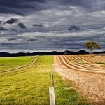 SDFI_02_06_2016-2_IMG_01_01