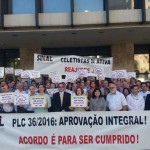 36-sp