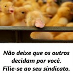 SDFI_18_08_2016_IMG