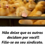 SDFI_18_08_2016_IMG_2