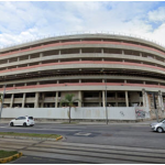 elefante-branco_bc_sedenova